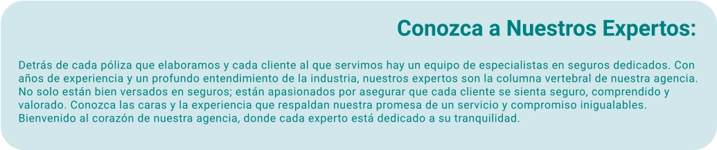 Conozca a Nuestros Expertos:  Detrás de cada póliza que elaboramos y cada cliente al que servimos hay un equipo de especialistas en seguros dedicados. Con años de experiencia y un profundo entendimiento de la industria, nuestros expertos son la columna vertebral de nuestra agencia. No solo están bien versados en seguros; están apasionados por asegurar que cada cliente se sienta seguro, comprendido y valorado. Conozca las caras y la experiencia que respaldan nuestra promesa de un servicio y compromiso inigualables. Bienvenido al corazón de nuestra agencia, donde cada experto está dedicado a su tranquilidad.